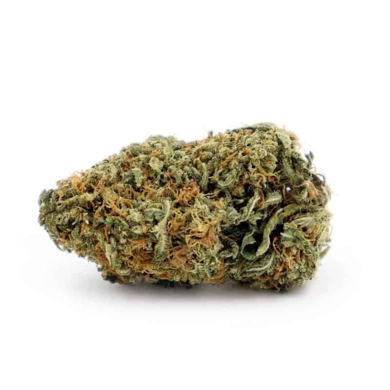 Buy-Sunset-Sherbet-Strain.jpeg