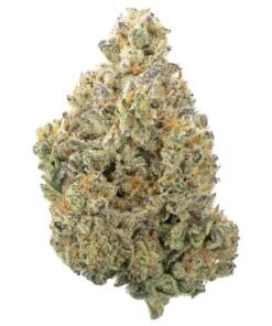 Buy Super Lemon Haze
