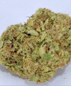 Buy THC Bomb Strain