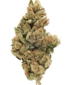 Buy Tahoe OG Strain