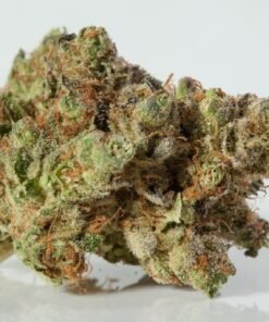 Buy Wedding Crasher Strain