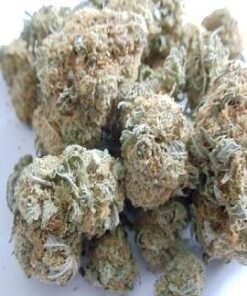 Buy White Rhino Strain