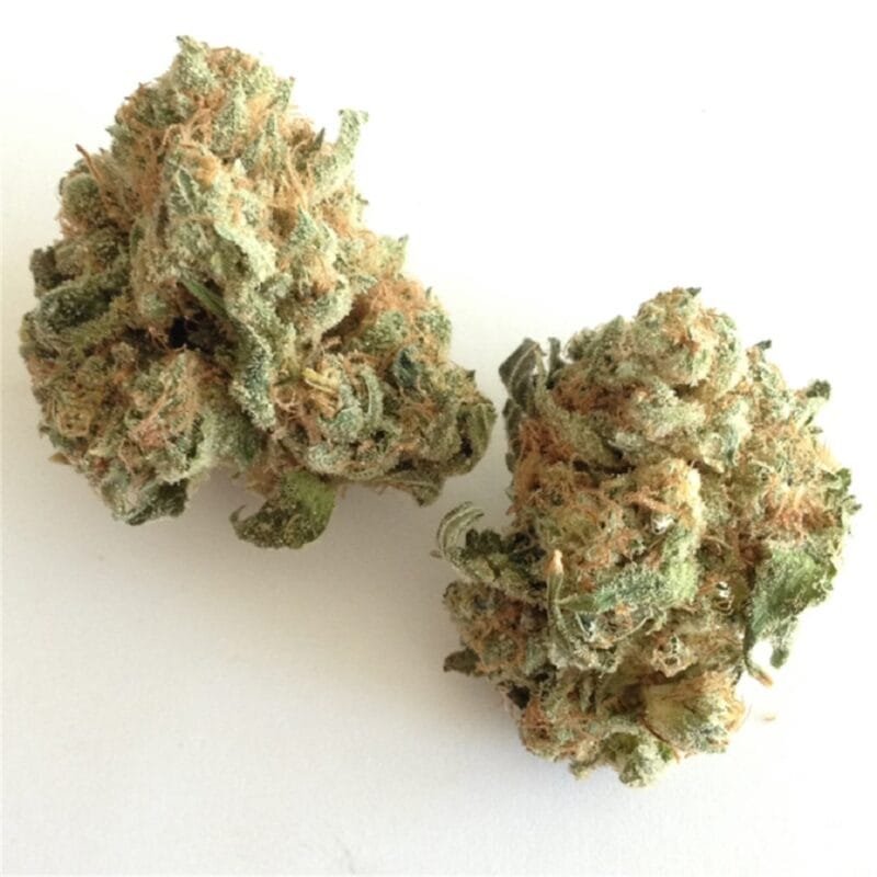 Buy-White-Widow-Online.jpg