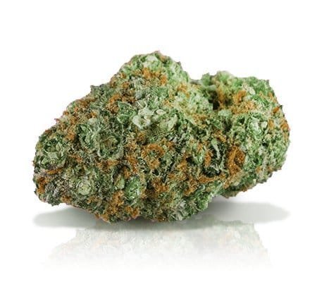 Buy-cinderella-99-strain-online.jpg